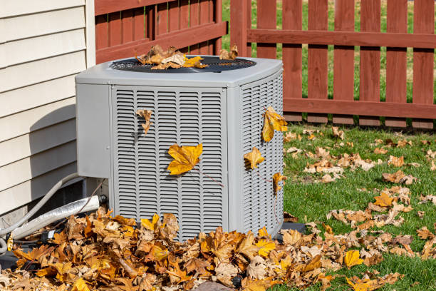Best HVAC Maintenance Near Me  in Mazon, IL